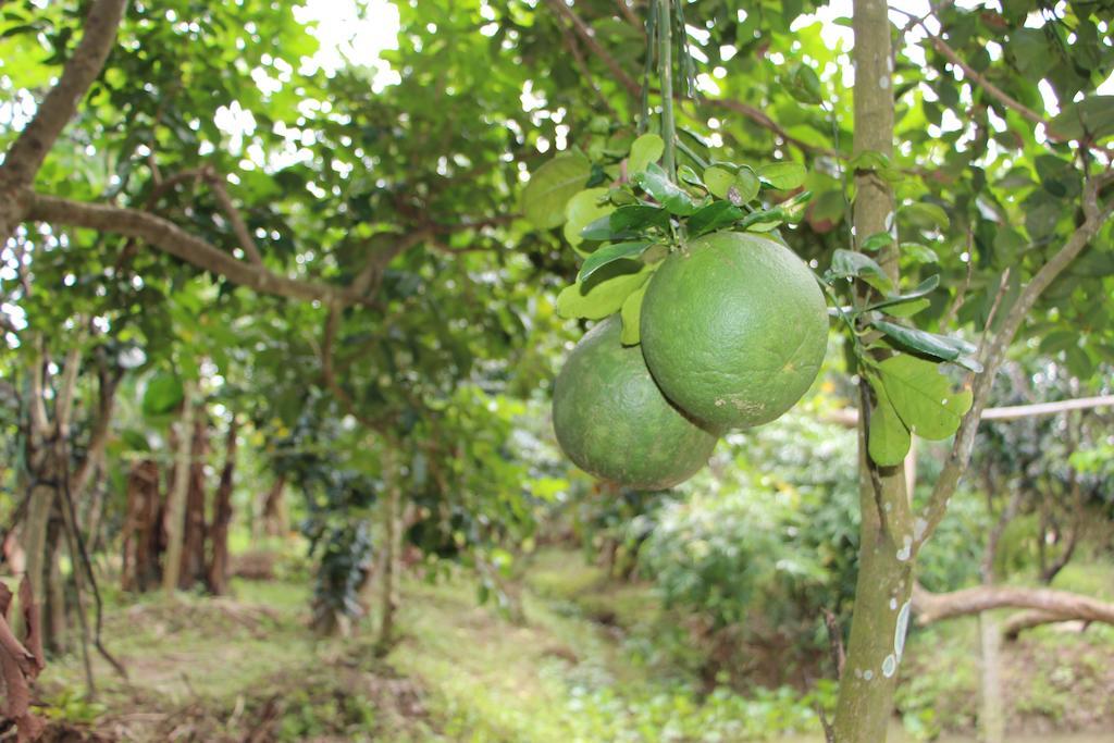 Gite Nam Hien Mekong Cho Lach Exterior photo