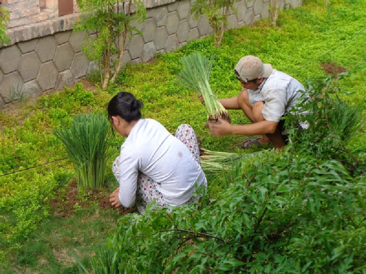 Gite Nam Hien Mekong Cho Lach Exterior photo